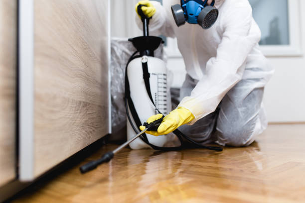 Pest Control for Restaurants in Lafayette, CA