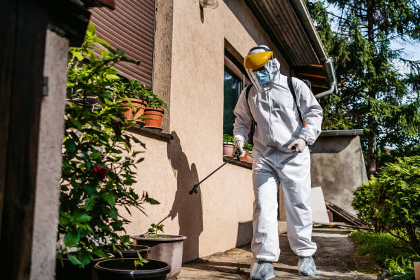 Best Bird Control  in Lafayette, CA