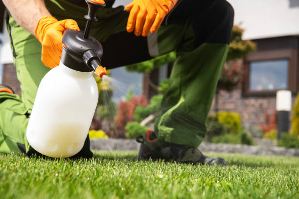 Best Insect Control  in Lafayette, CA