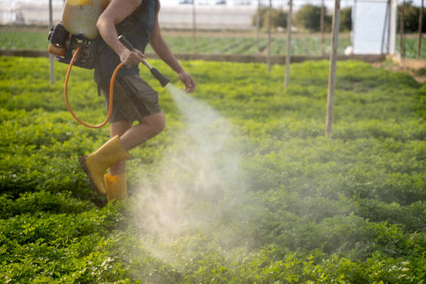 Pest Prevention Services in Lafayette, CA