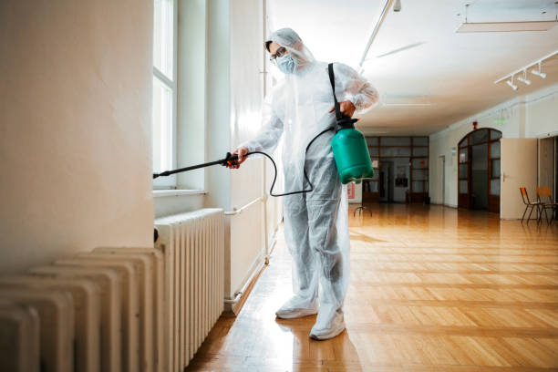 Best Affordable Pest Control Services  in Lafayette, CA