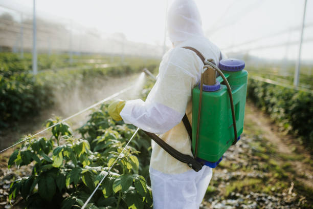 Reliable Lafayette, CA Pest Control Solutions